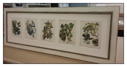 Custom picture framing, organic art,